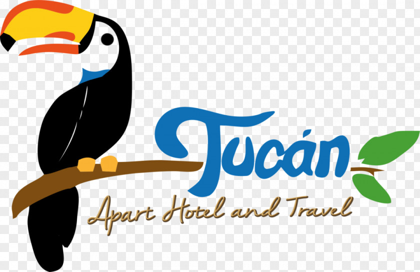 Logo Beak Illustration Graphic Design Toucan PNG