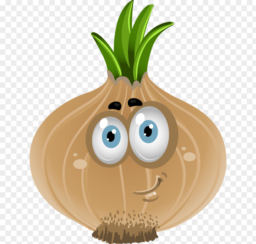Lovely Onion Vegetable Cartoon Drawing Clip Art PNG