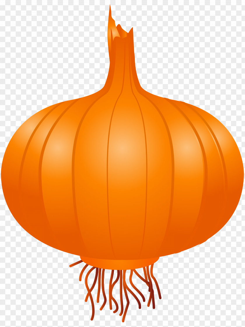 Onion Calabaza Vegetable Clip Art PNG