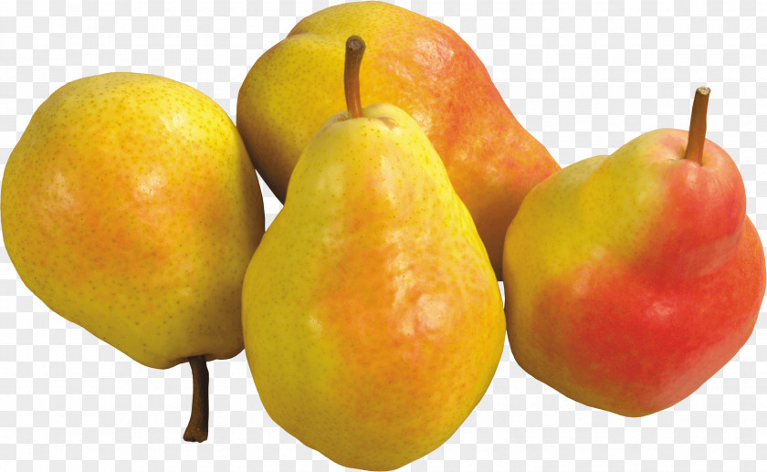 Pear Image Fruit Amygdaloideae TIFF PNG
