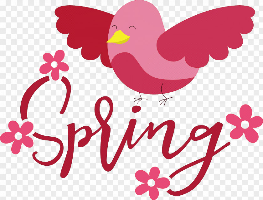 Spring Bird PNG