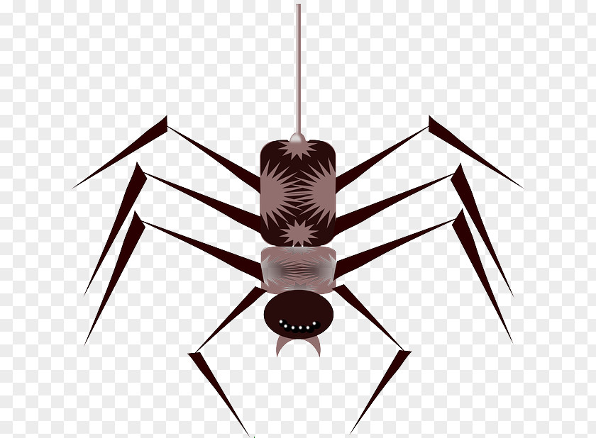 Cartoon Bug Spider Web Clip Art PNG