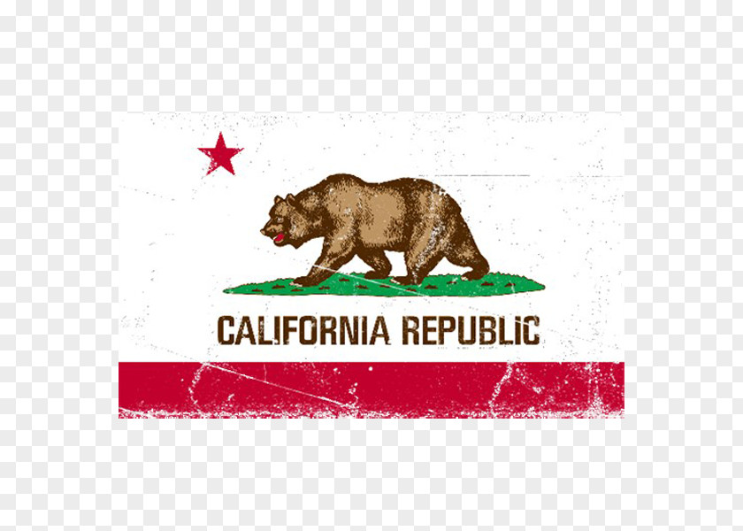 Flag Of California State National PNG