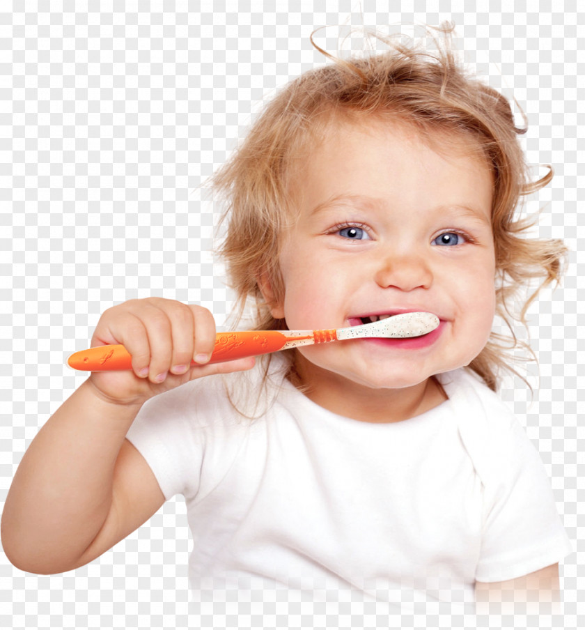 Tooth Fairy Brushing Child Teeth Cleaning Human Infant PNG