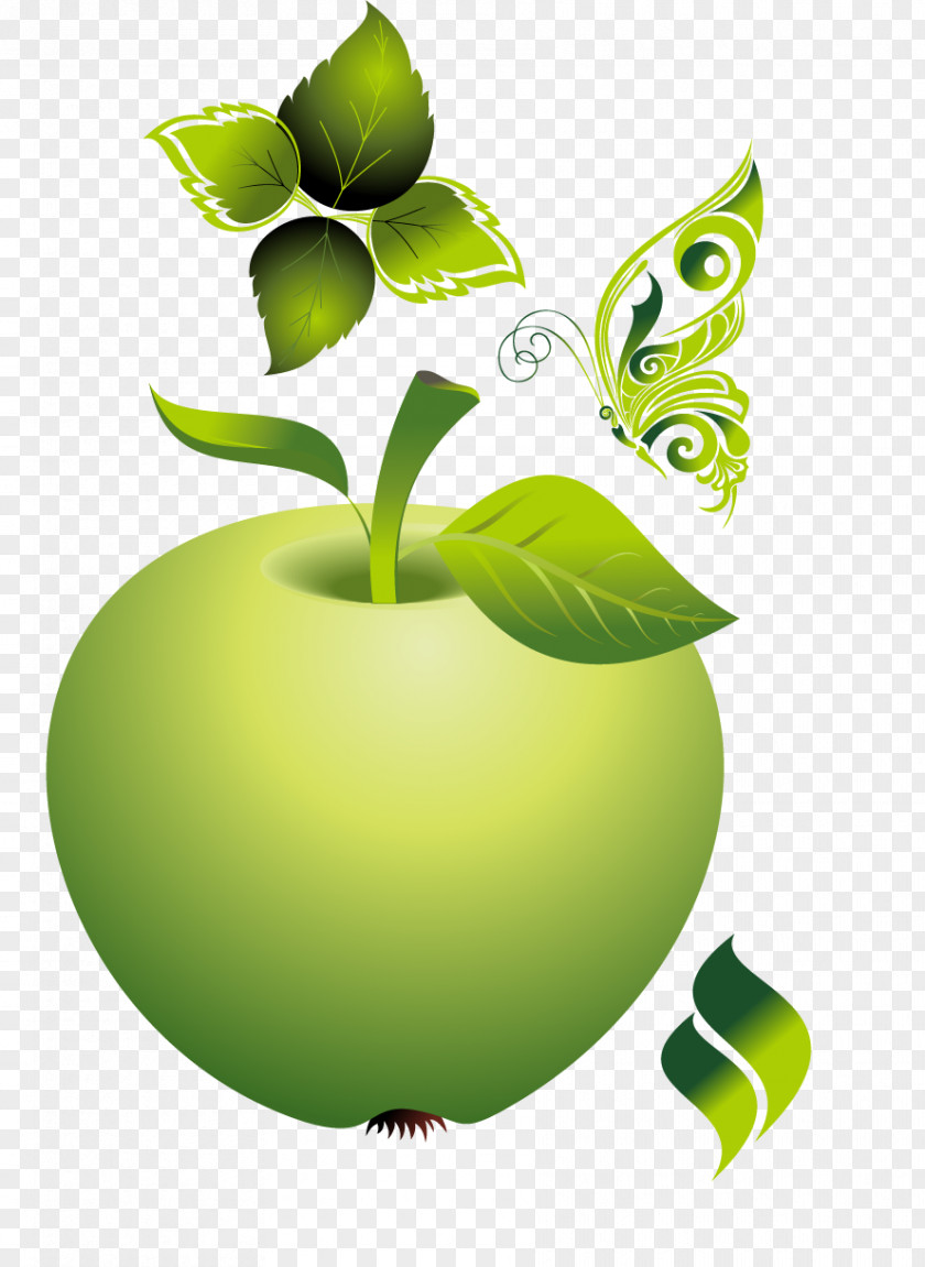 Vector Green Apple Ecology PNG