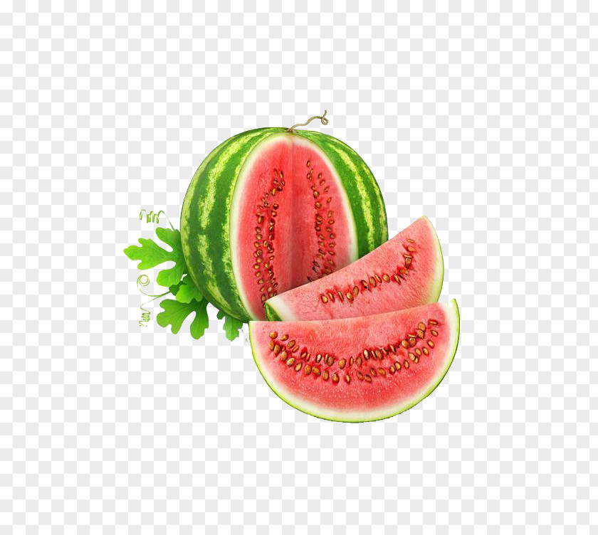 Watermelon Cantaloupe Meat Slicer Honeydew PNG