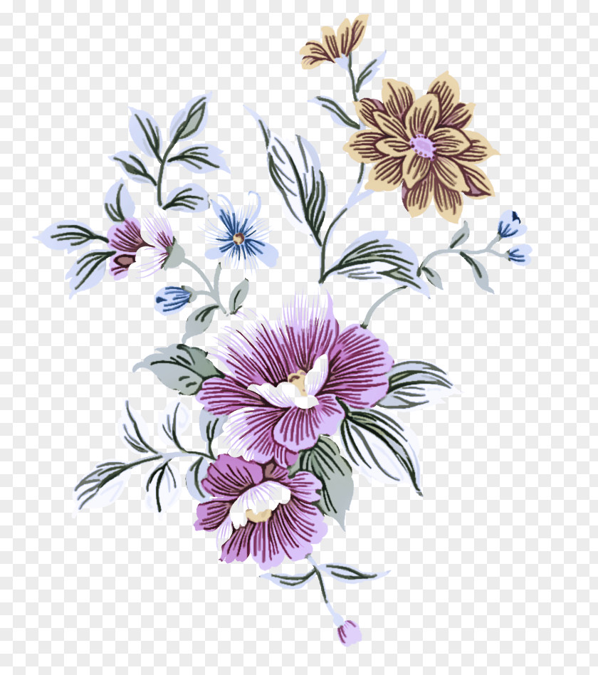 Aster Wildflower Flower Plant Petal Purple Violet PNG