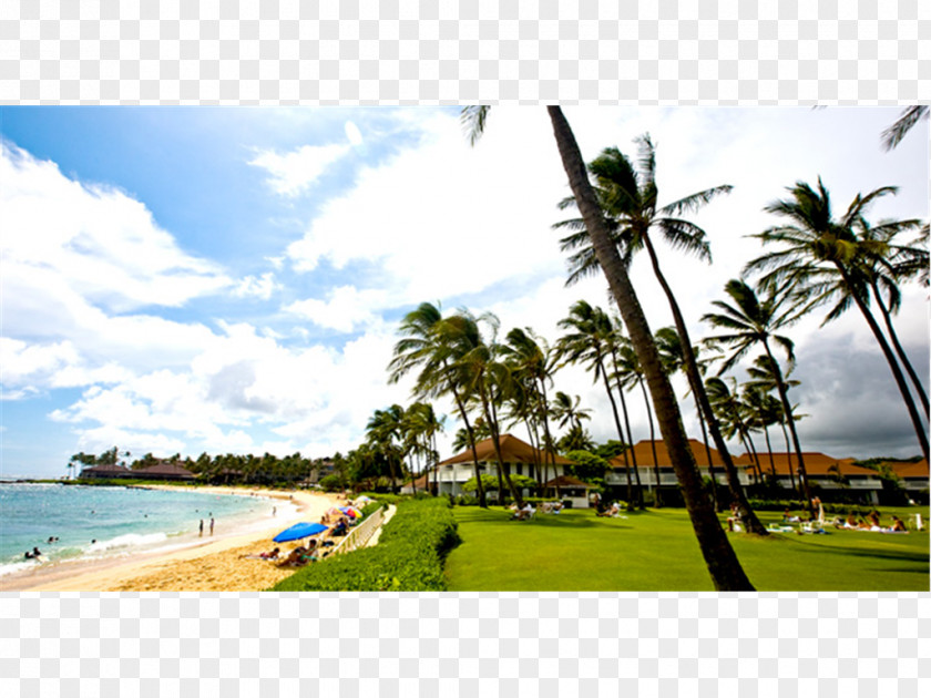 Banyan Poipu Harbor Resort Hotel Beach PNG