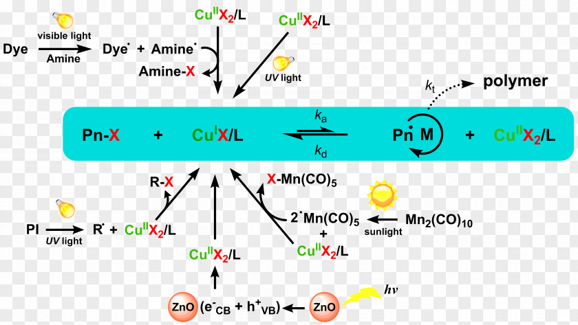 Catalysis Photochemistry Atom Transfer Radical Polymerization PNG