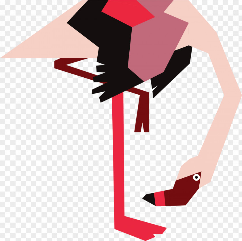 Flamingo Illustrator Artist Clip Art PNG