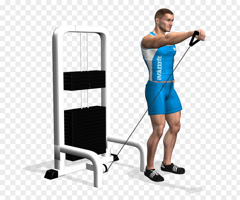 Fly Shoulder Physical Fitness Exercise Cable Machine PNG