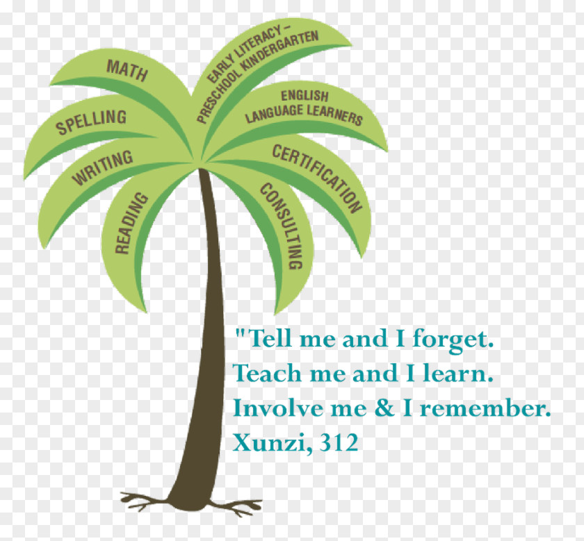 Reading Test Worksheets 3 Rd Orton-Gillingham Palm Trees Brand Font Training PNG