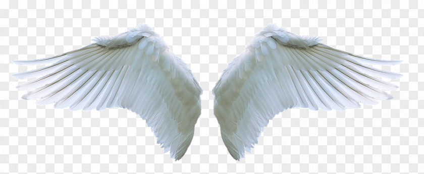 Angel Image Clip Art Stock.xchng PNG