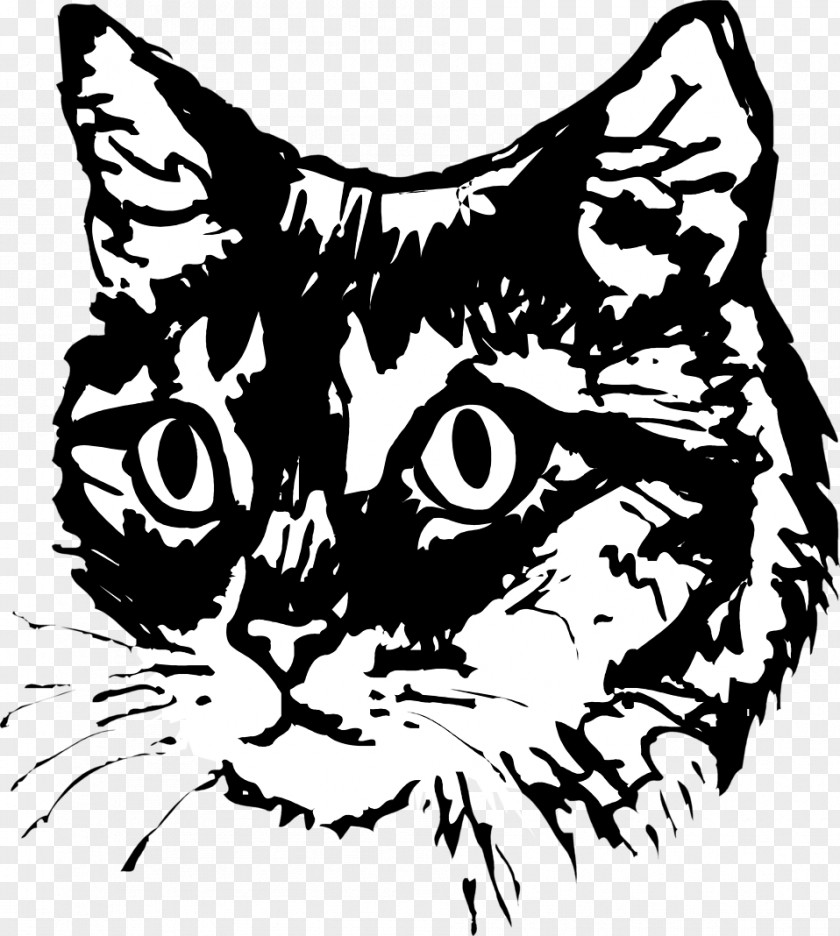 Cat Illustrator Kitten Sphynx Drawing Pet Clip Art PNG