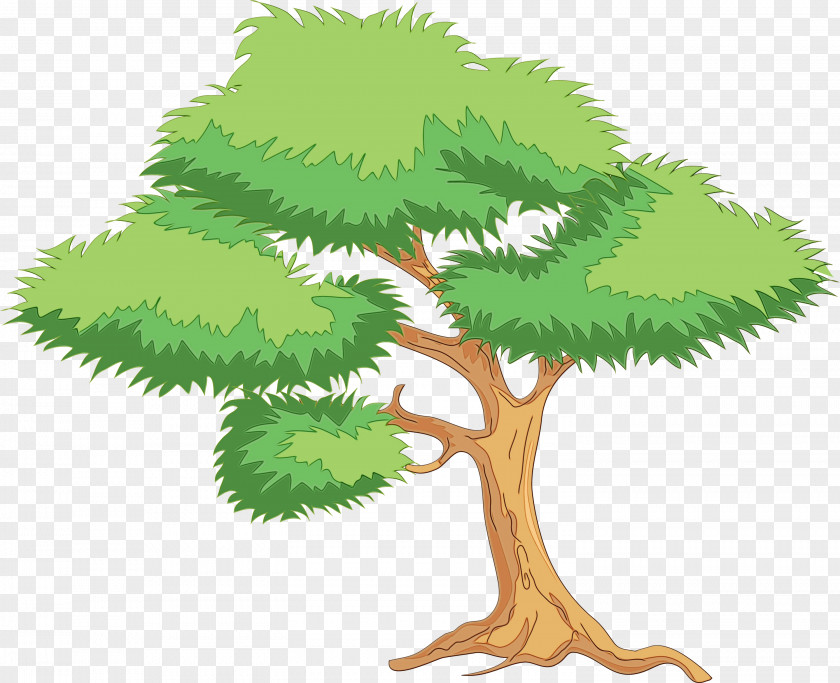 Pine Plane Background Family Day PNG