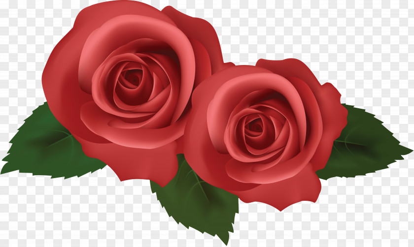 Rose Emotion Sadness Email Sorrow Happiness PNG