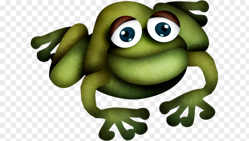 Toad Photography True Frog Clip Art PNG