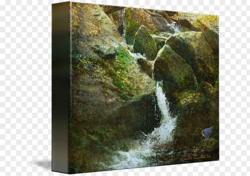 Waterfall Video Body Of Water Nature Reserve Stream Resources PNG