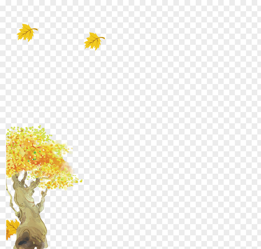 Autumn Tree PNG