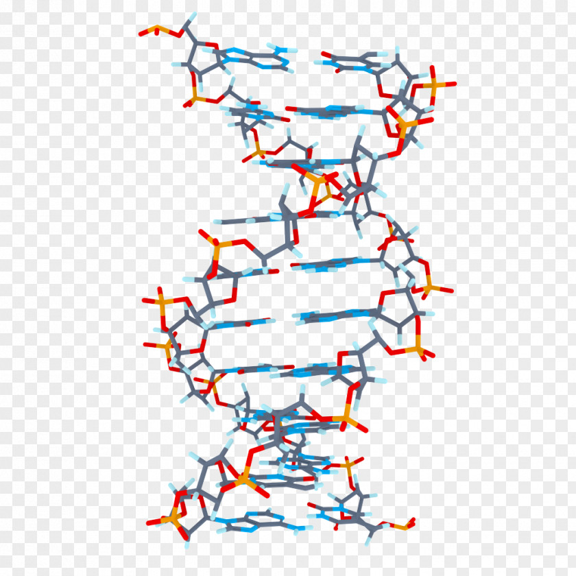 DNA BMP File Format Mod_ssl Clip Art PNG