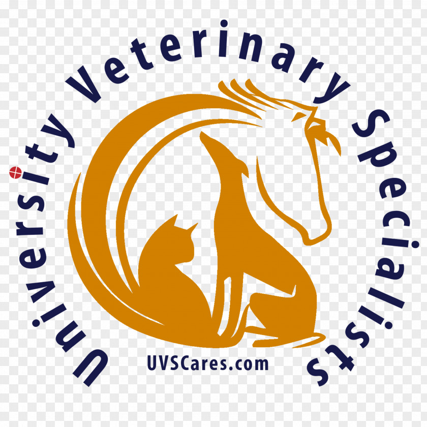 Excellence University Veterinary Specialists Vector Graphics Industry Stopain Migraine Topical Pain Relieving Gel Company PNG
