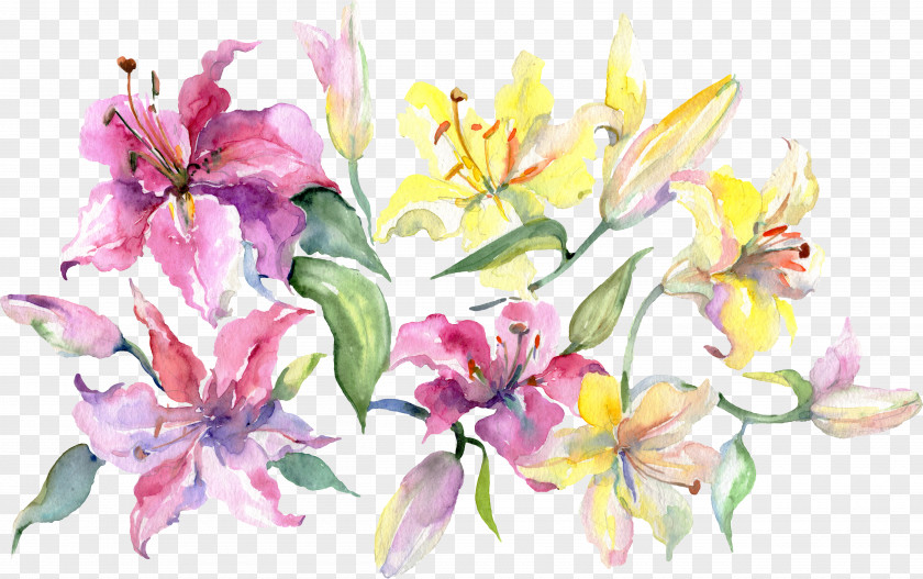 Floral Design Watercolor Paint Lily Flower PNG
