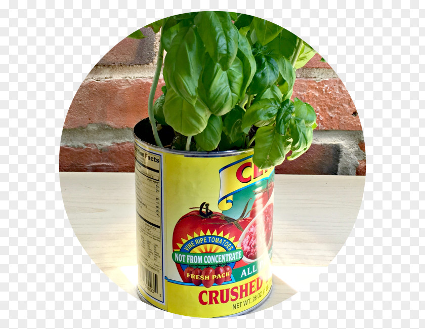 Milk Carton Garden Herb Cento All Purpose Crushed Tomatoes Can PNG