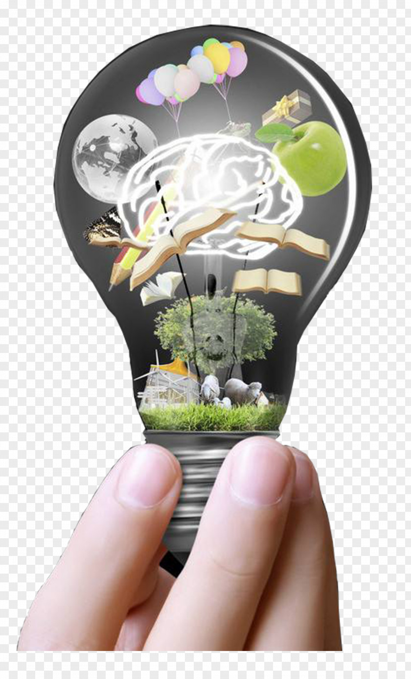 Creative Light Bulb Brain Thought Incandescent Creativity PNG