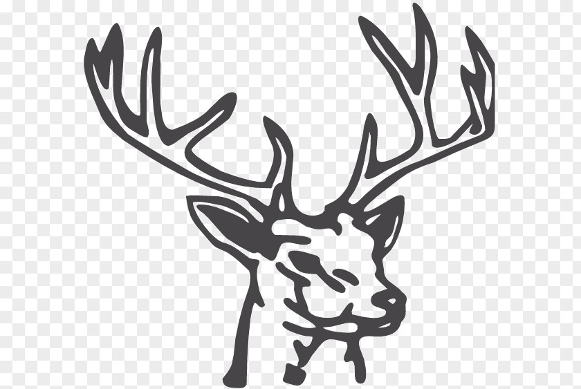 Deer Reindeer Drawing White-tailed Clip Art PNG