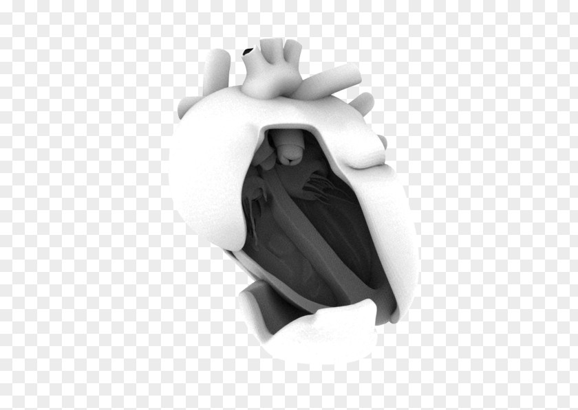 Human Heart Monochrome Photography Black And White PNG