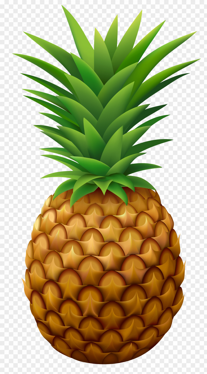 Pineapple Vector Clipart Image Sour Juice Food Clip Art PNG