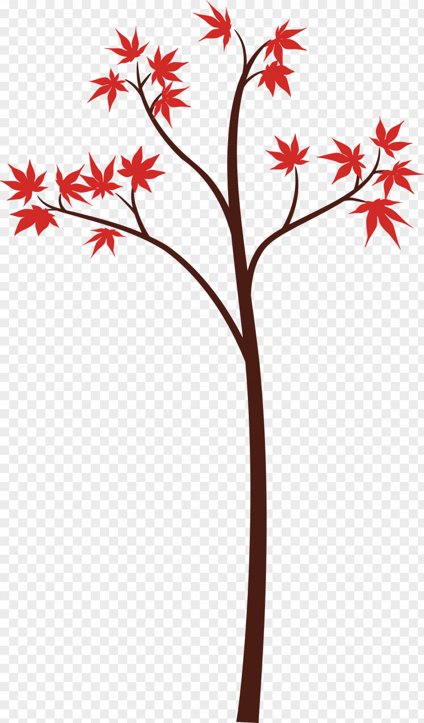 Plant Flower Tree Leaf Maple PNG