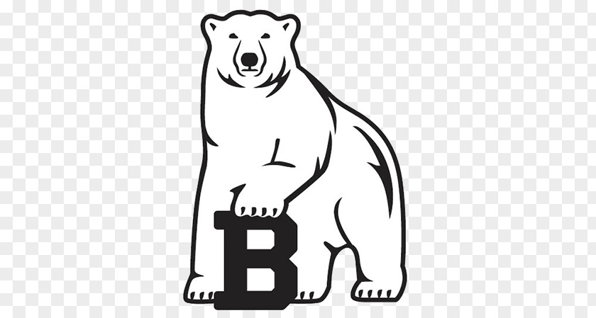Bowdoin College Polar Bears Men's Basketball Football Barnard PNG men's basketball football College, polar bear clipart PNG