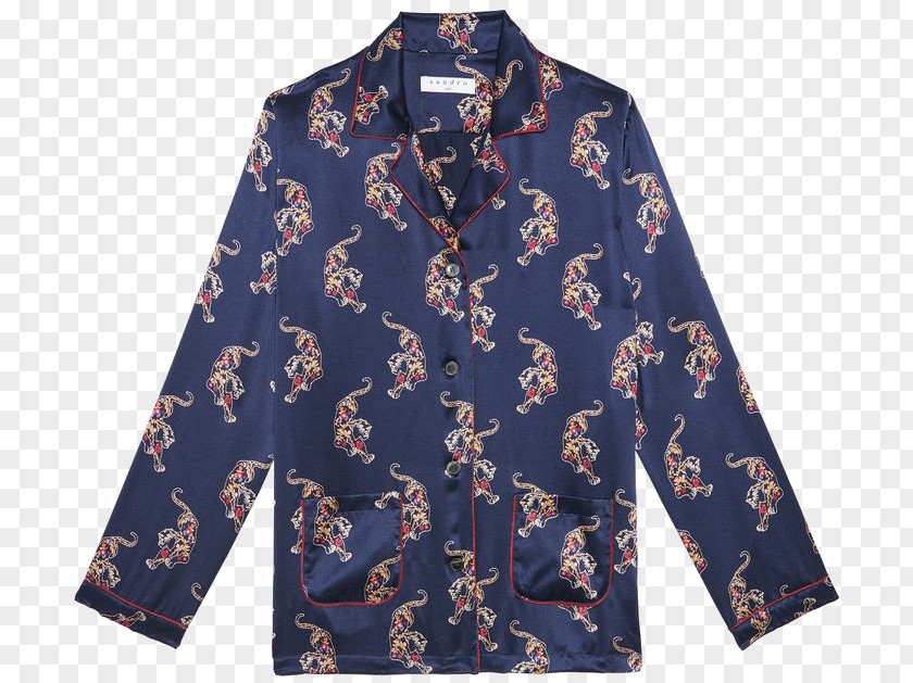 Chemise Blouse PNG