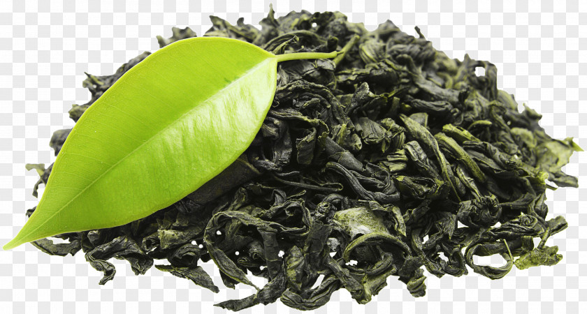 Green Tea Organic Food Plant Energy Drink PNG