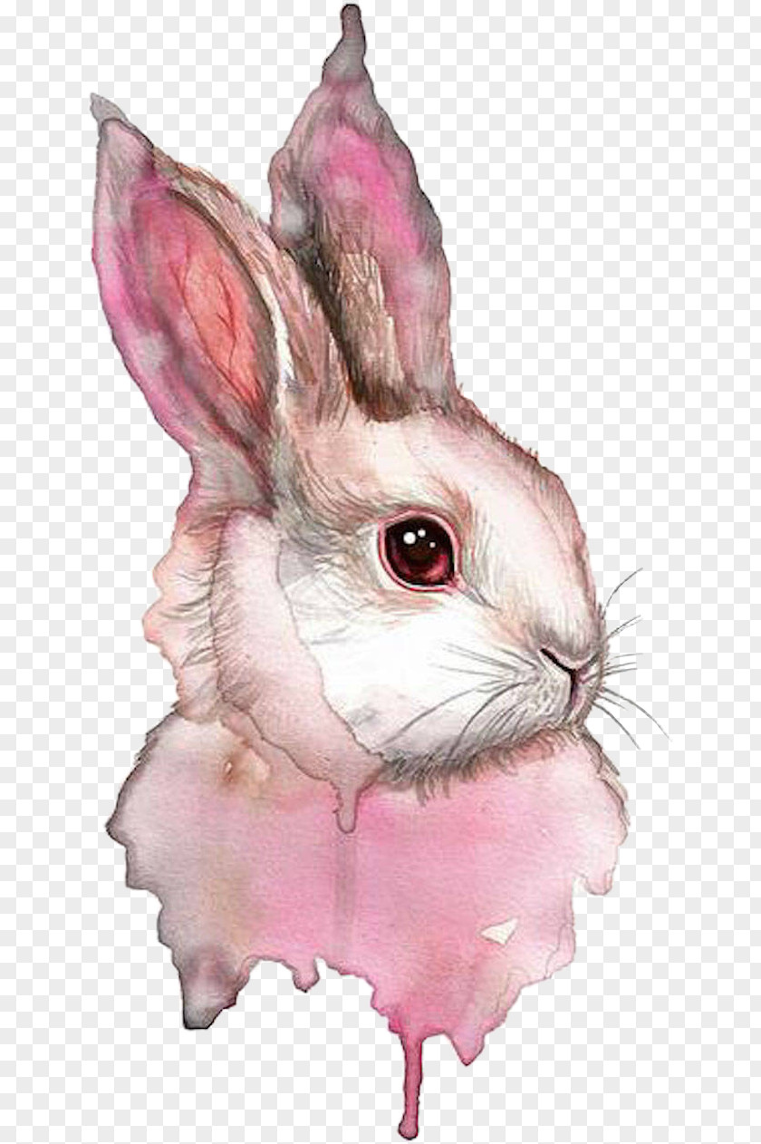 Rabbit Watercolor Painting Watercolor: Animals Drawing PNG