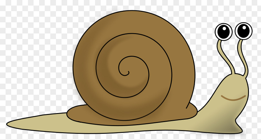 Brown Cartoon Snail Escargot Sea Clip Art PNG