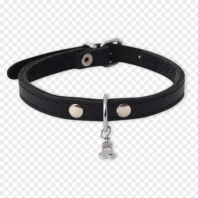 Dog Collar Bracelet Belt PNG