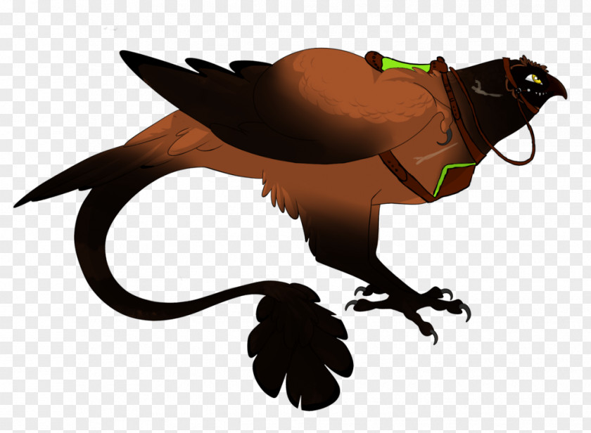 Indra Beak Fauna Clip Art PNG