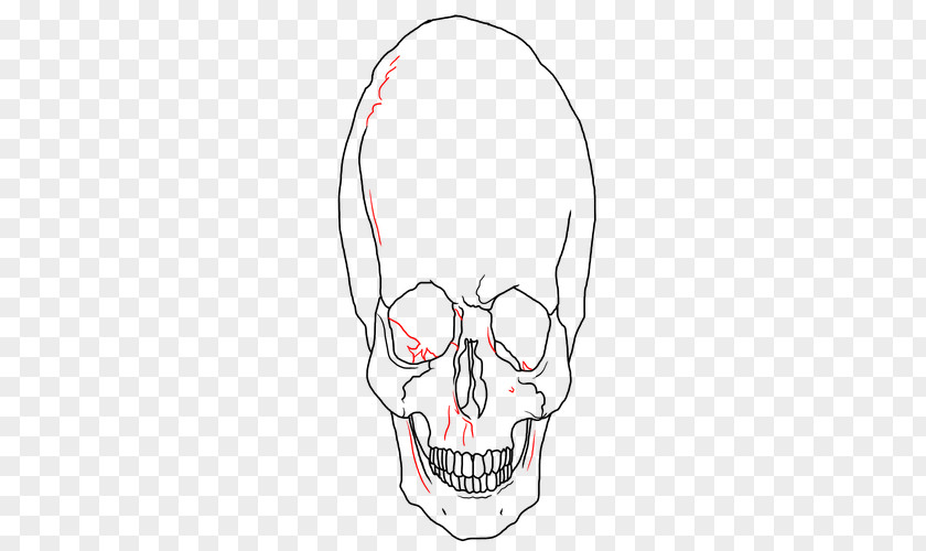 Skull Ear Drawing Jaw Clip Art PNG