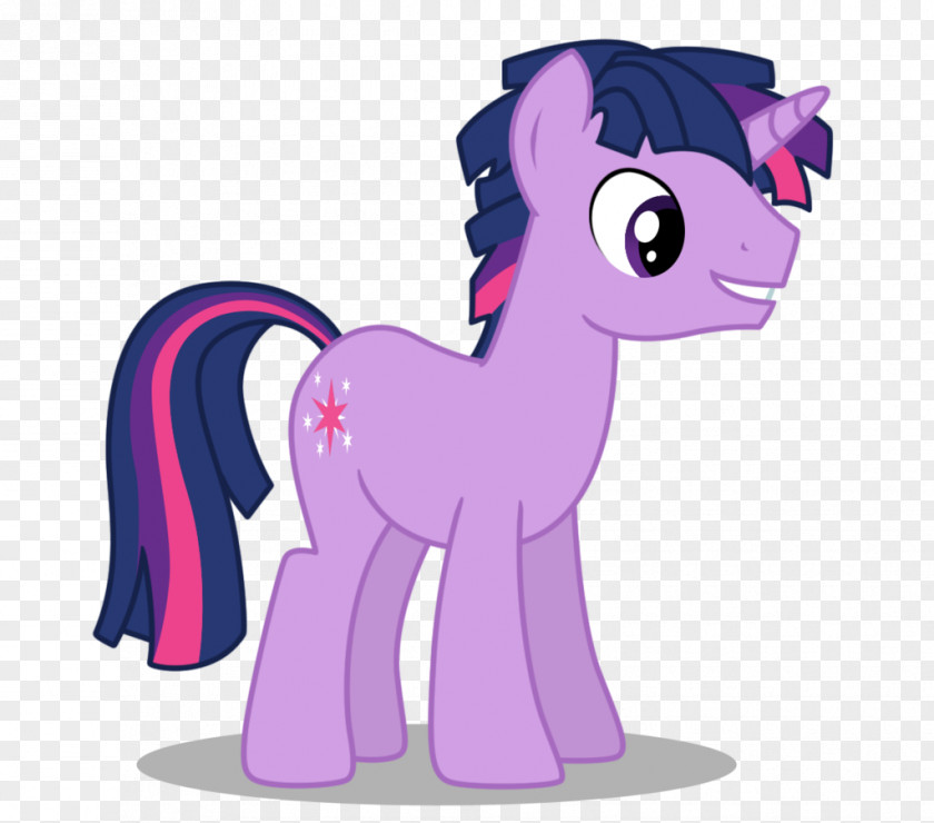 Twilight Sparkle Applejack Rainbow Dash Pinkie Pie Rarity PNG