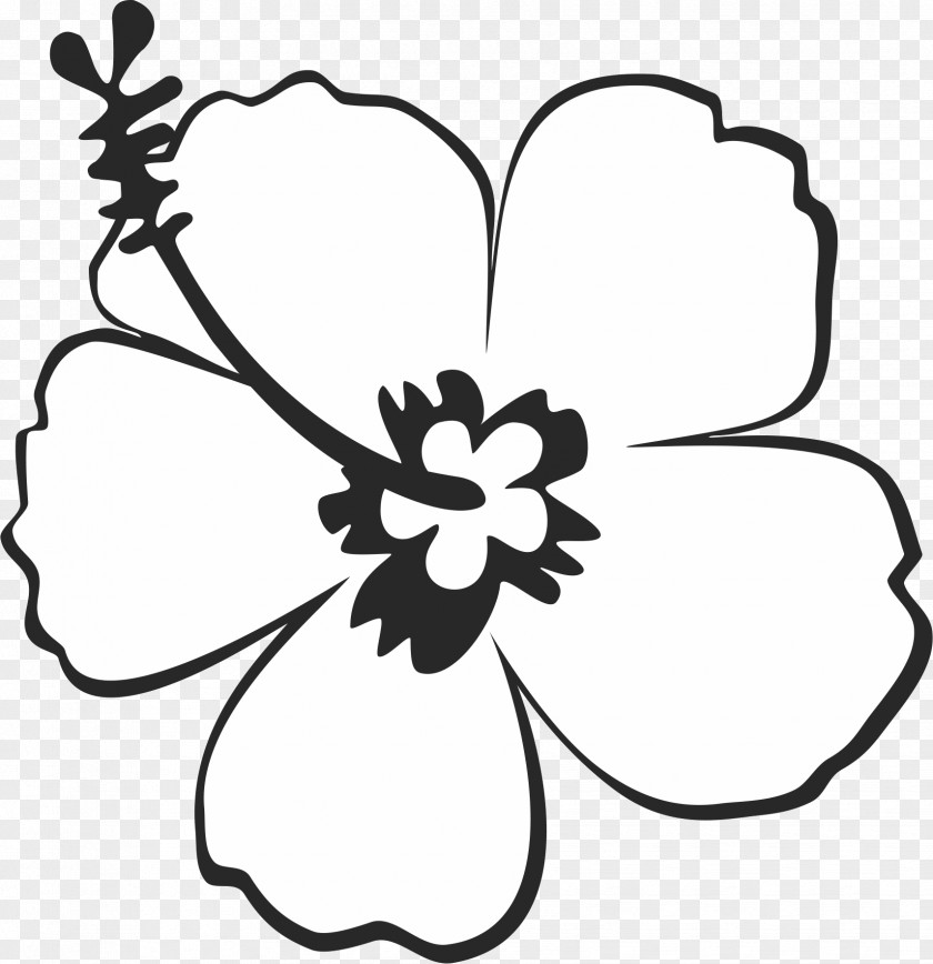 Flower Clip Art Shoeblackplant Image Drawing PNG