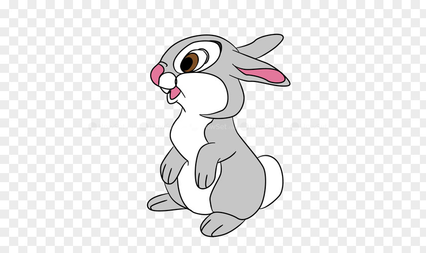 Rabbit Domestic Hare Whiskers Easter Bunny PNG