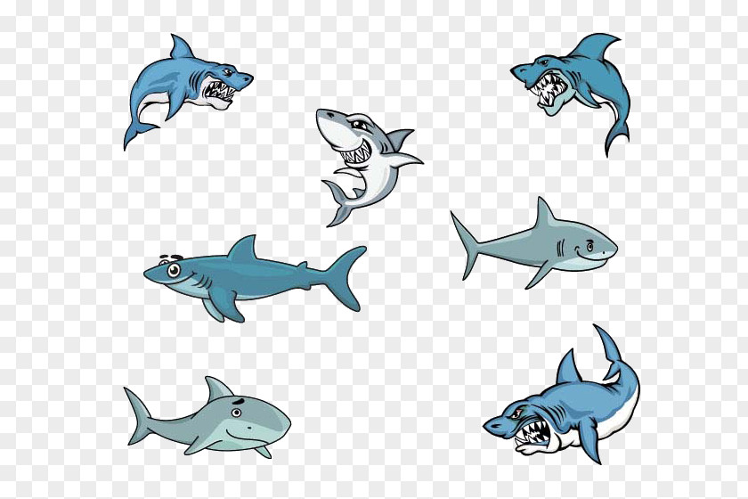 Cartoon Shark Great White Clip Art PNG