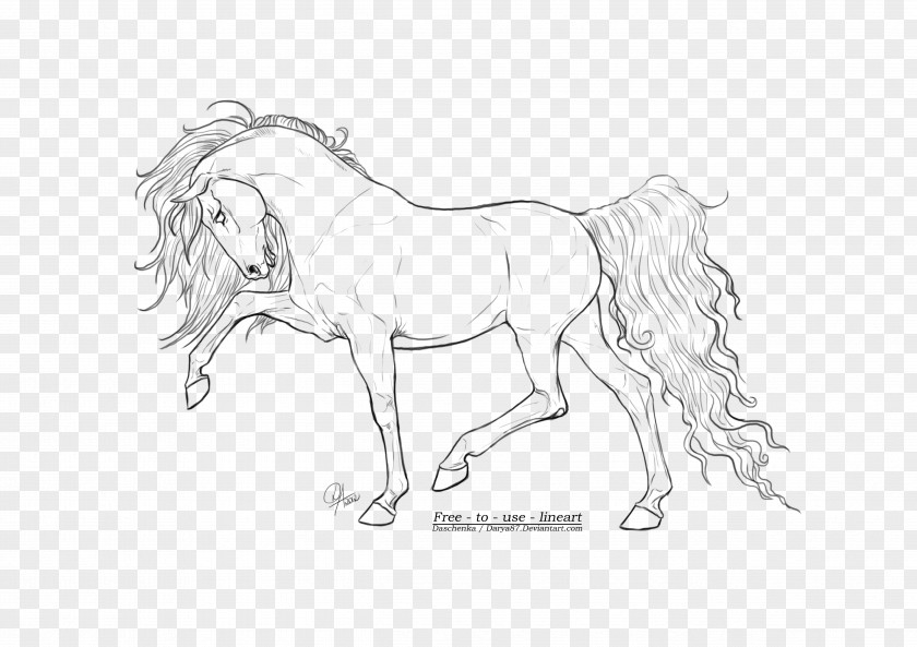 Horse Line Art Drawing Sketch PNG