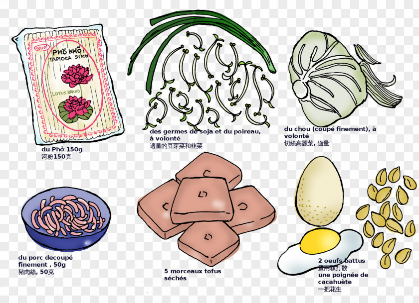 Nose Food Group Animal Clip Art PNG