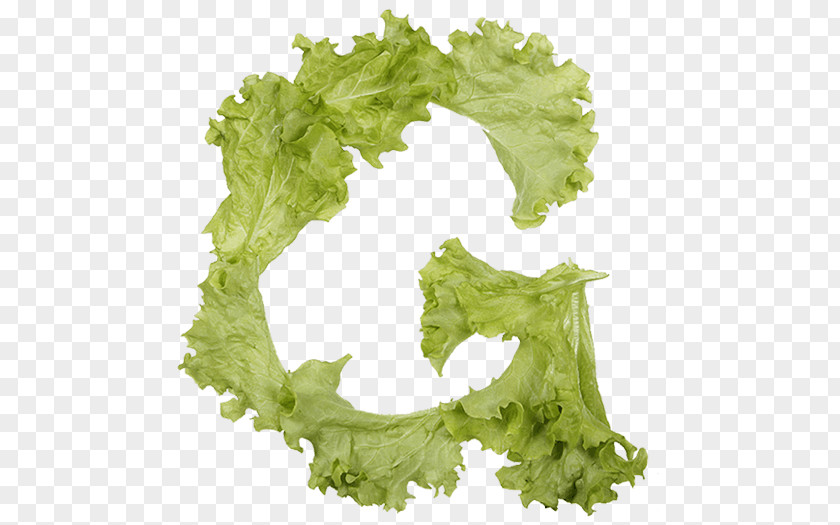 Vegetable Lettuce Letter Food PNG