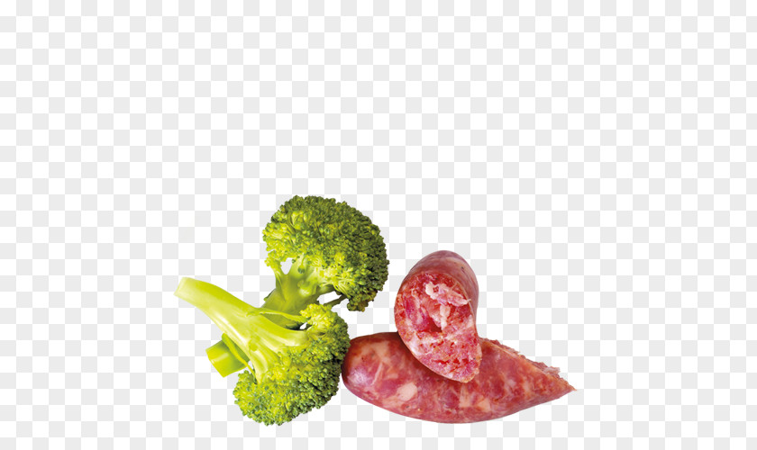 Boletus Edulis Leaf Vegetable Vegetarian Cuisine Diet Food Garnish PNG