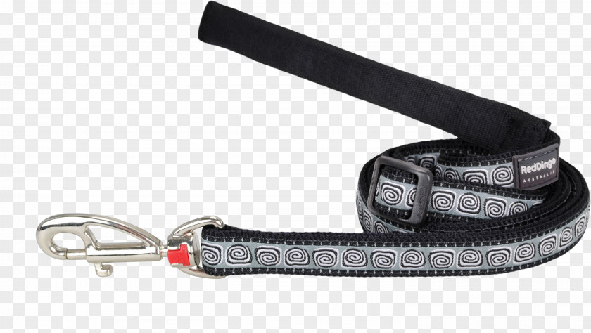 Dog Leash Collar Dingo PNG