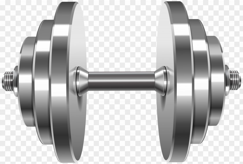 Dumbbell Barbell Weight Training Physical Fitness PNG